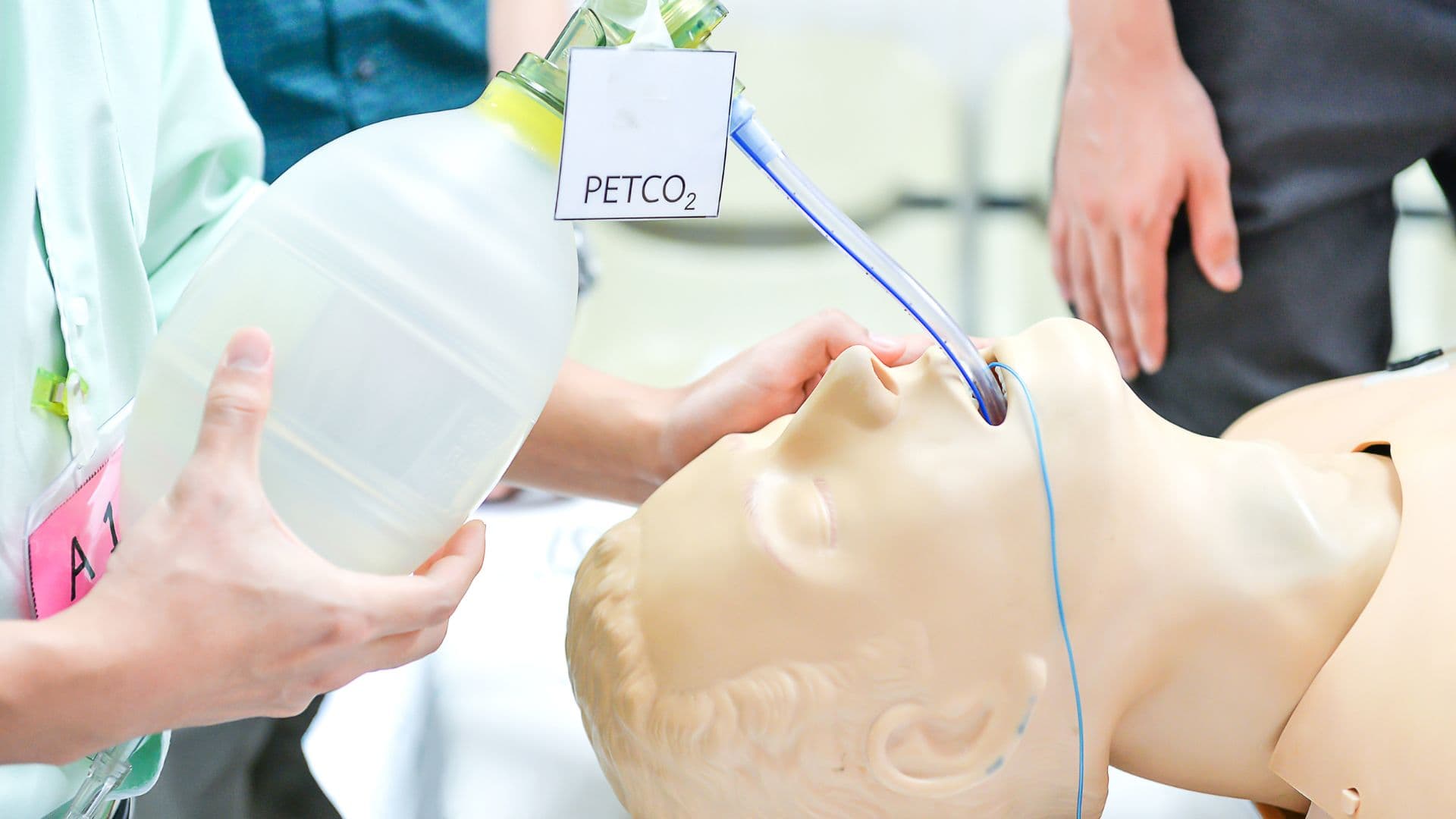 BLS course overview and practical training